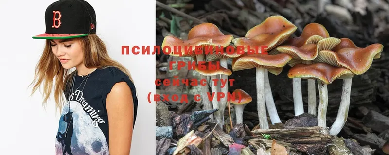 omg онион  Игарка  Псилоцибиновые грибы Magic Shrooms 